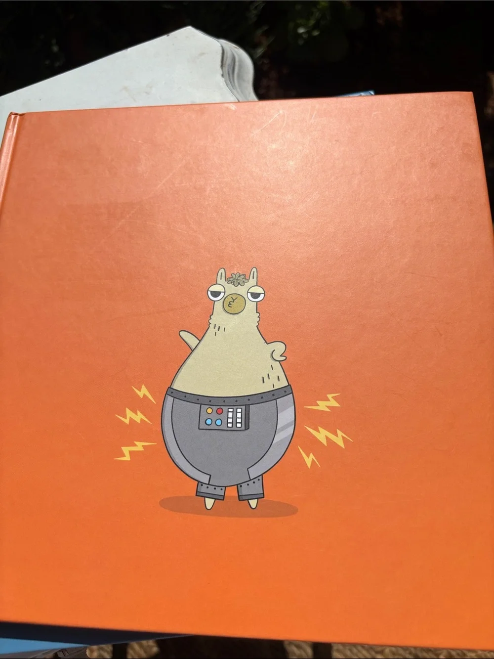 Llama Destroys World and Llama Rocks the Cradle of  Chaos Books Set -